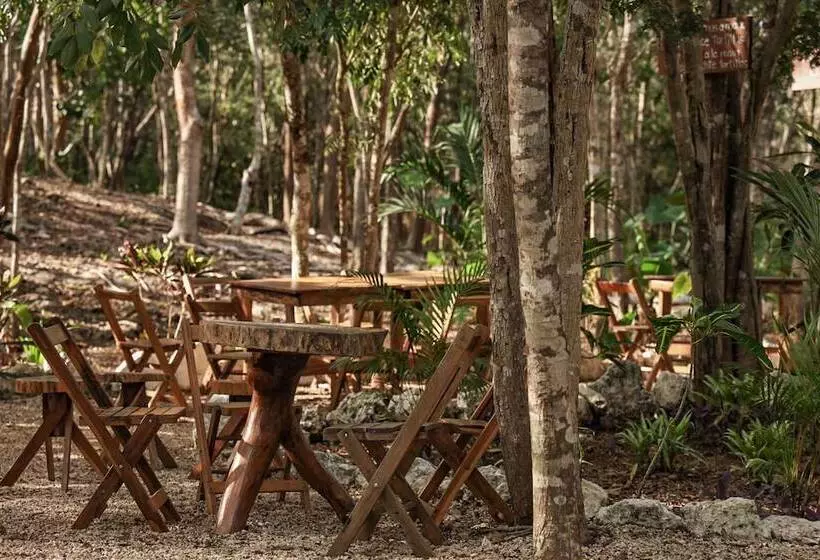 Hotelli Boutique Cenote Secreto Maya