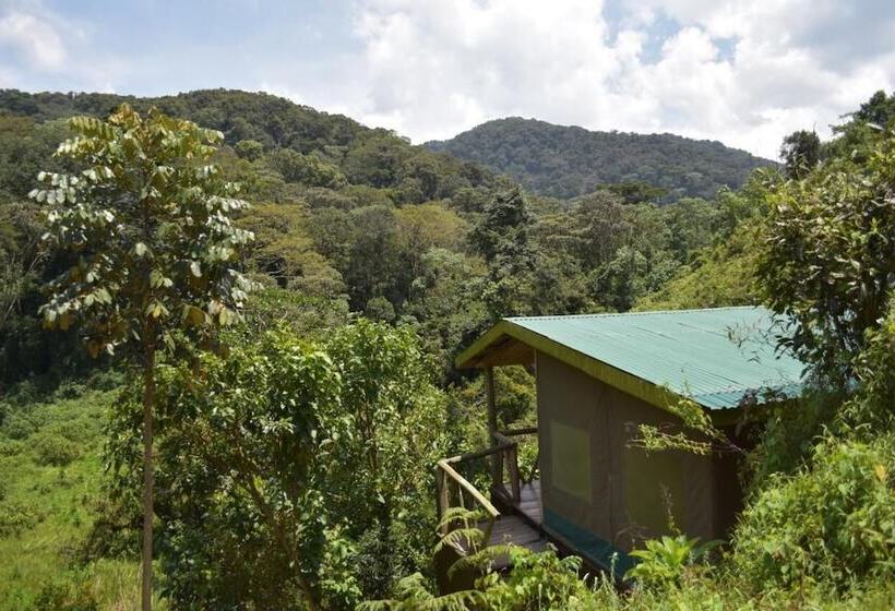 فندق Gorilla Hills Eco Lodge