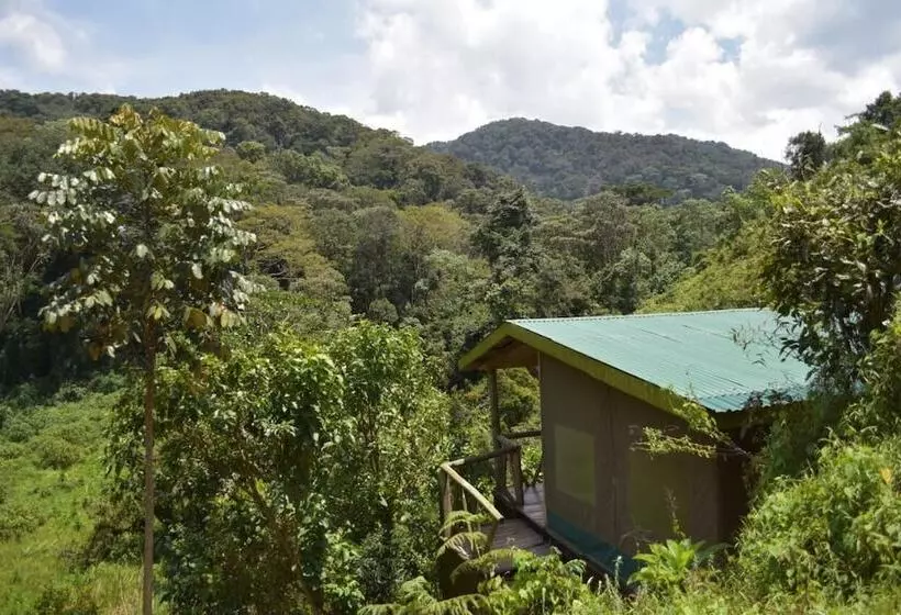 هتل Gorilla Hills Eco Lodge