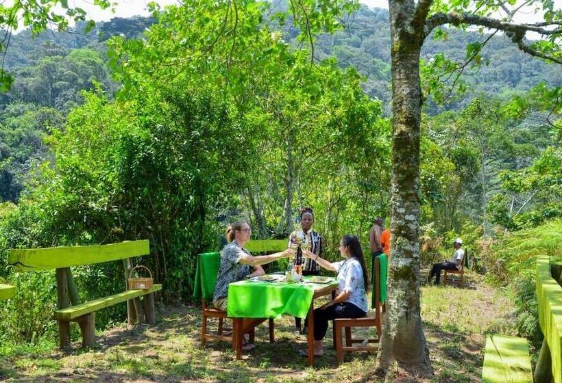 فندق Gorilla Hills Eco Lodge