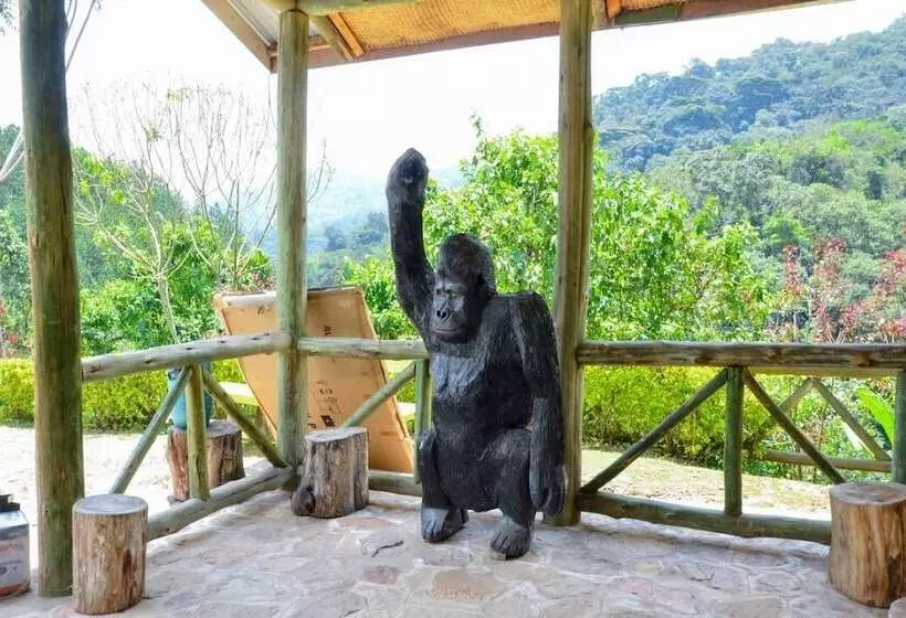 هتل Gorilla Hills Eco Lodge