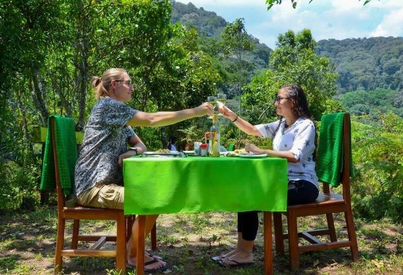 فندق Gorilla Hills Eco Lodge