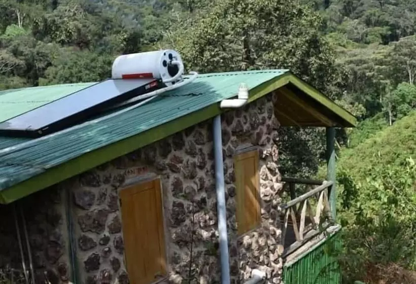 هتل Gorilla Hills Eco Lodge