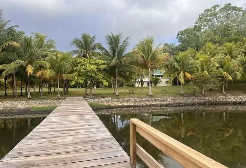 هتل Los Olingos Lodge   Bird Paradise