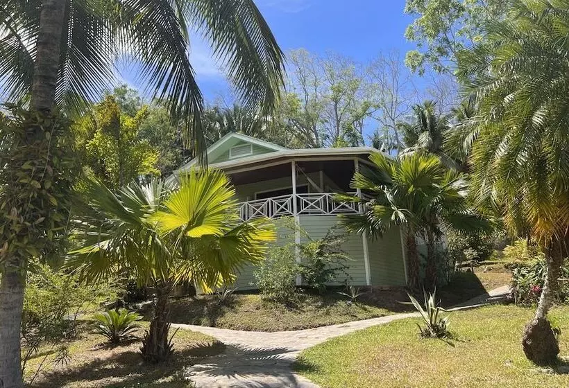 هتل Los Olingos Lodge   Bird Paradise