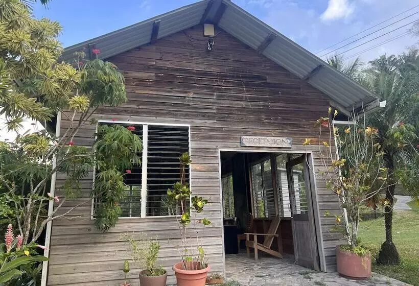 هتل Los Olingos Lodge   Bird Paradise