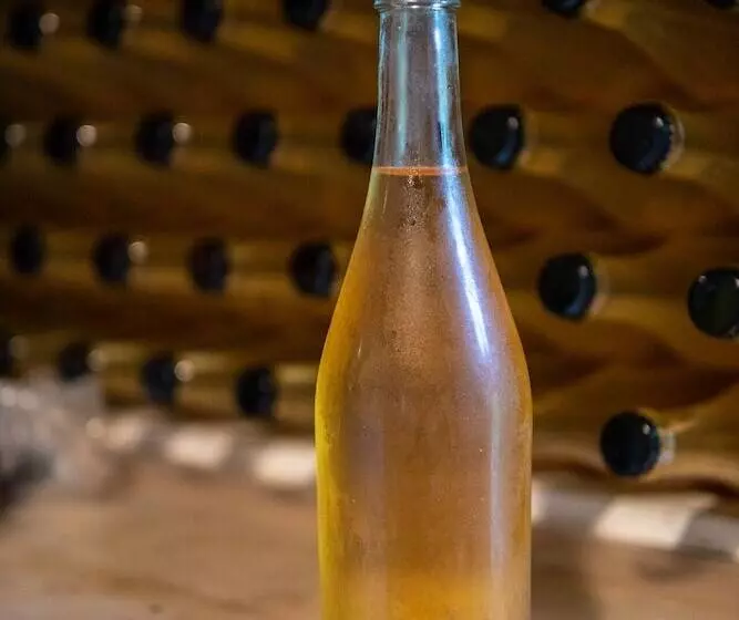 Hotelli Mi Clos   Luxury Pods With Private Jacuzzis