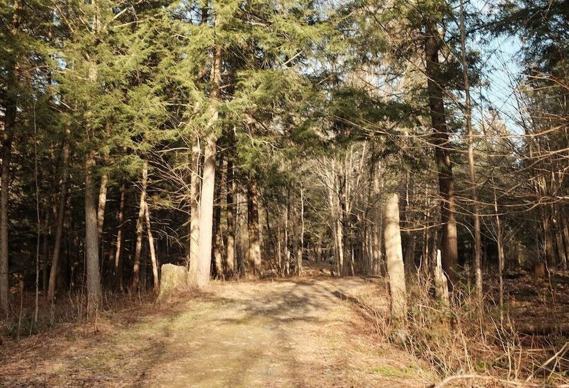 Отель Mi Clos Luxury Pods With Private Jacuzzis