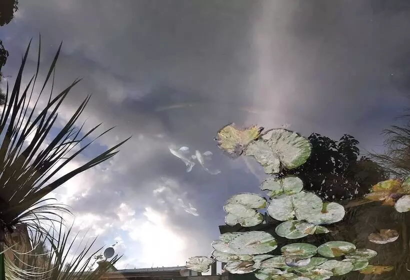 ホテル Pan Asiat Tashkent