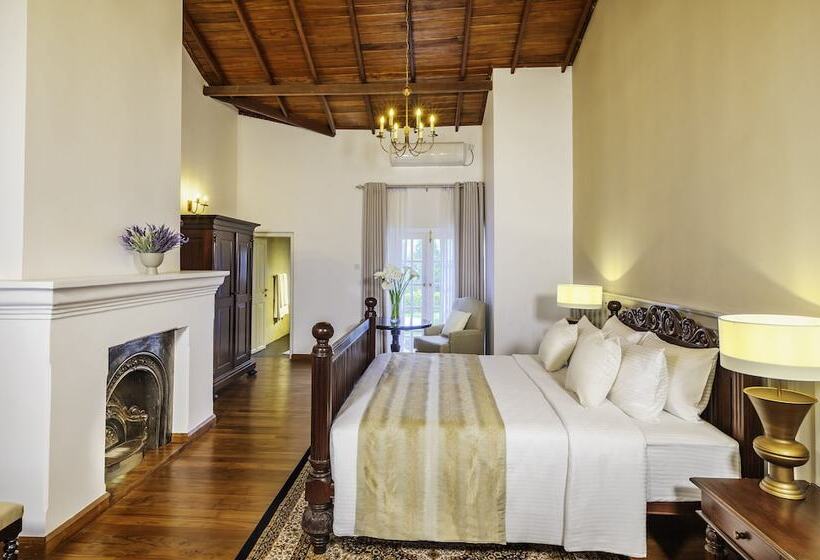 Otel The Lavender House By Reveal