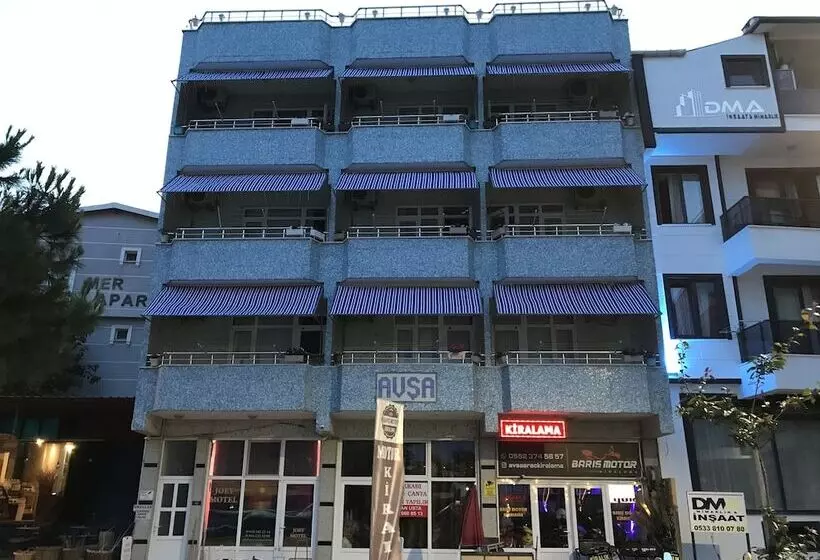 Joey Motel
