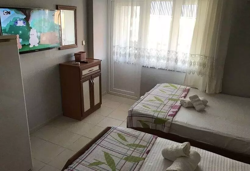 Joey Motel