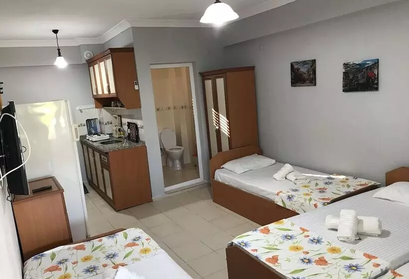 Joey Motel