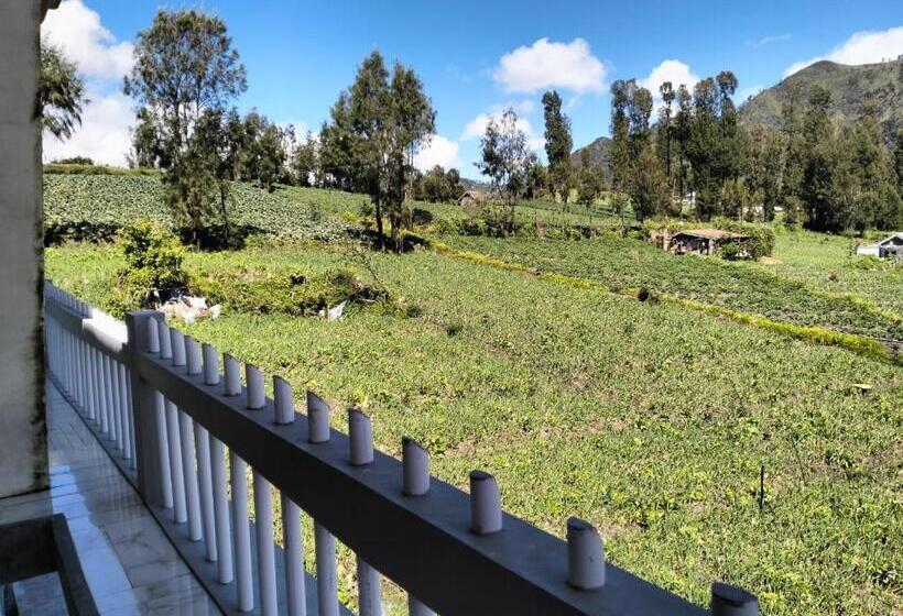 ペンション Bromo Seruni Astungkara Homestay