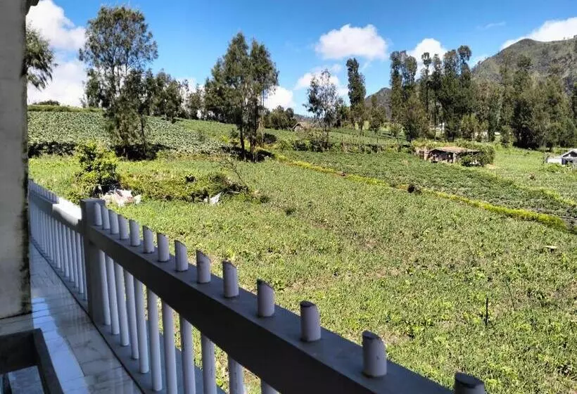 Majatalo Bromo Seruni Astungkara Homestay