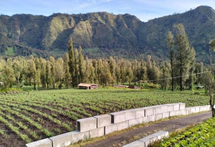 ペンション Bromo Seruni Astungkara Homestay