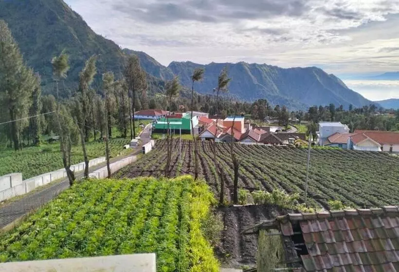 Majatalo Bromo Seruni Astungkara Homestay