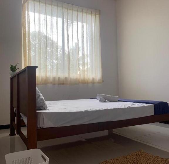 膳宿费 Cmsurf Guest