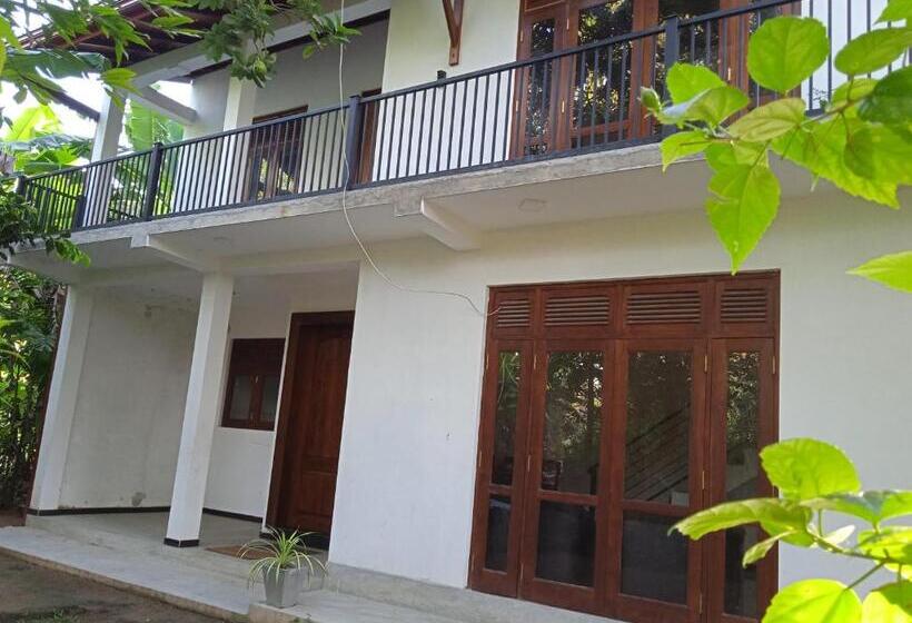 膳宿费 Cmsurf Guest