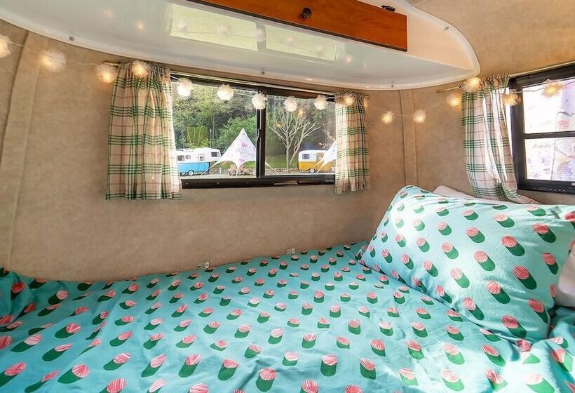 펜션 Geumsan Lalaland Caravan