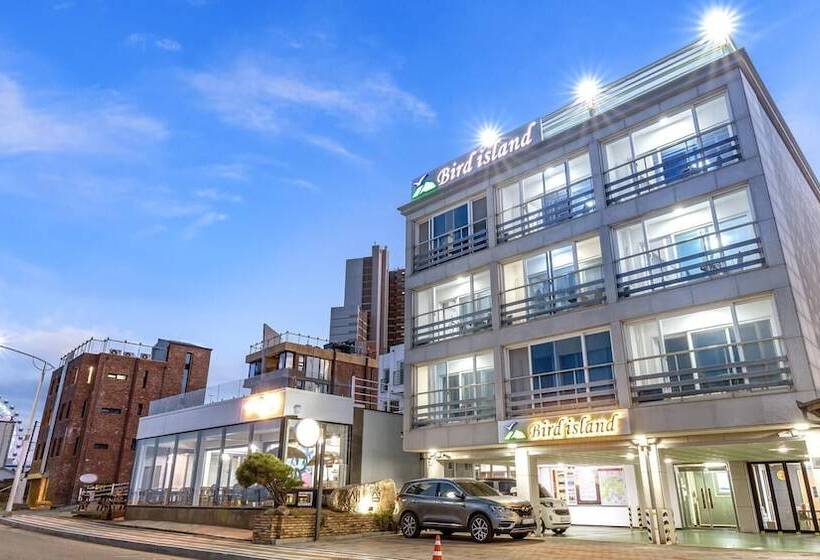 Sokcho Bird Island Pension