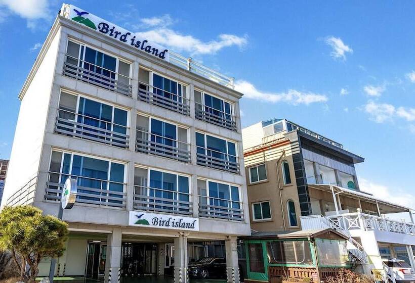 Sokcho Bird Island Pension