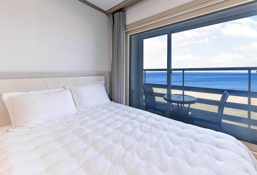 Sokcho Bird Island Pension