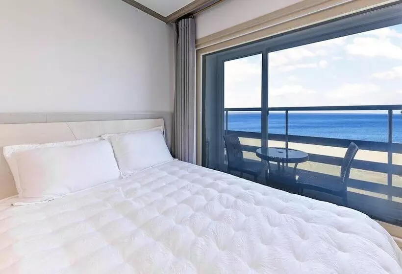Sokcho Bird Island Pension