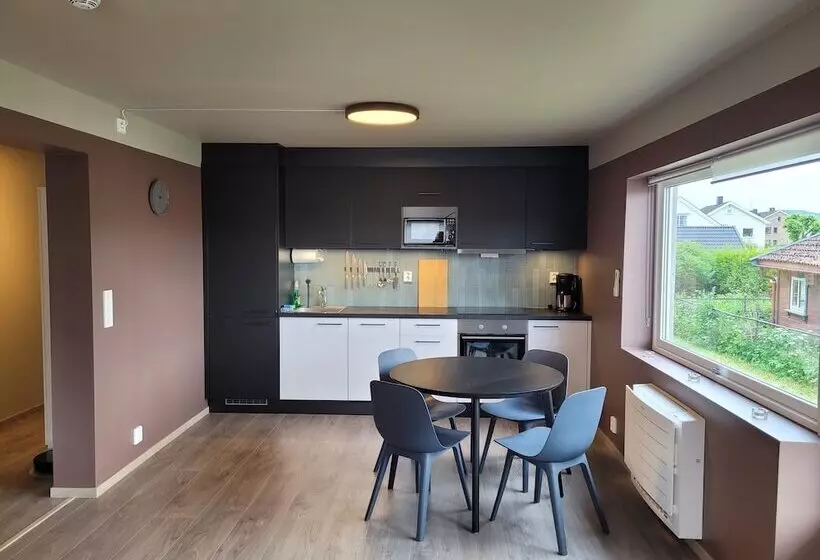 Telemark Apartments