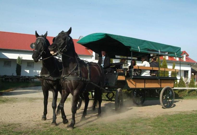 ホテル Cierszewo Osrodek Rekreacyjno-szkoleniowy