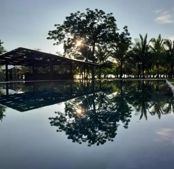 هتل Hibiscus Garden