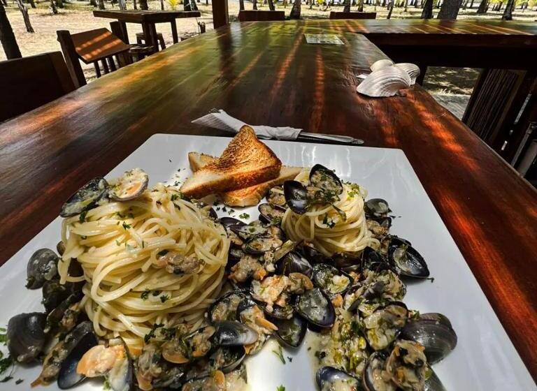 Отель Hibiscus Garden