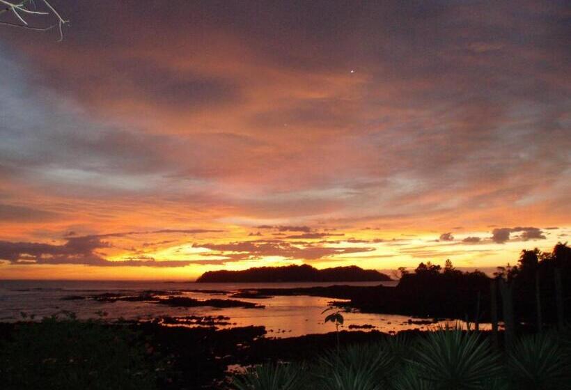 Отель Hibiscus Garden