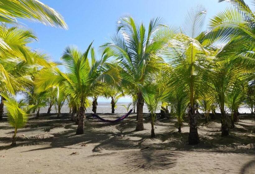 Отель Hibiscus Garden