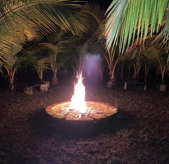 Отель Hibiscus Garden