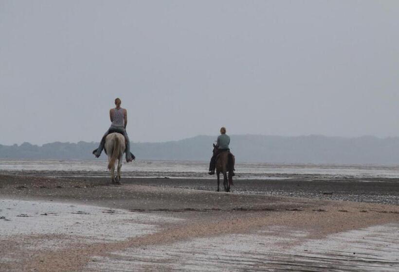 Отель Hibiscus Garden