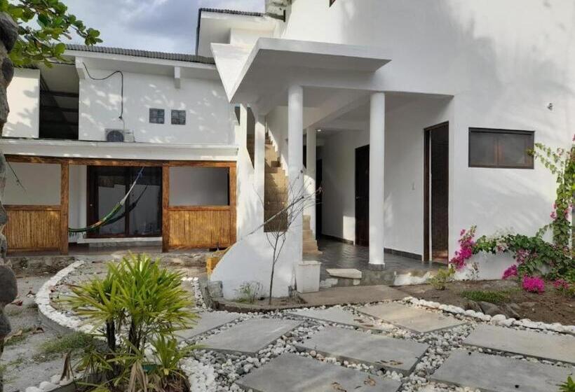 Отель Hibiscus Garden