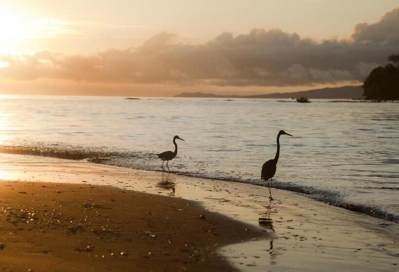 Отель Hibiscus Garden