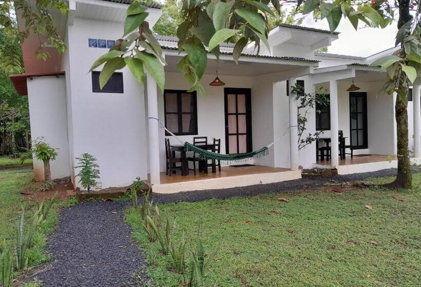 Отель Hibiscus Garden