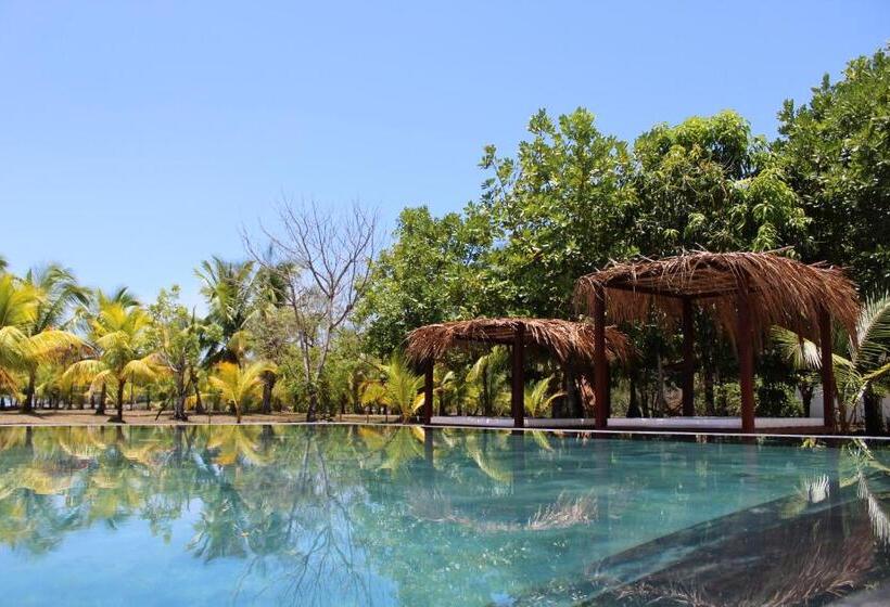 Отель Hibiscus Garden