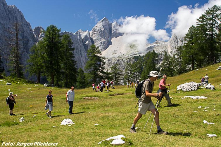 호텔 Landhaus Schreier