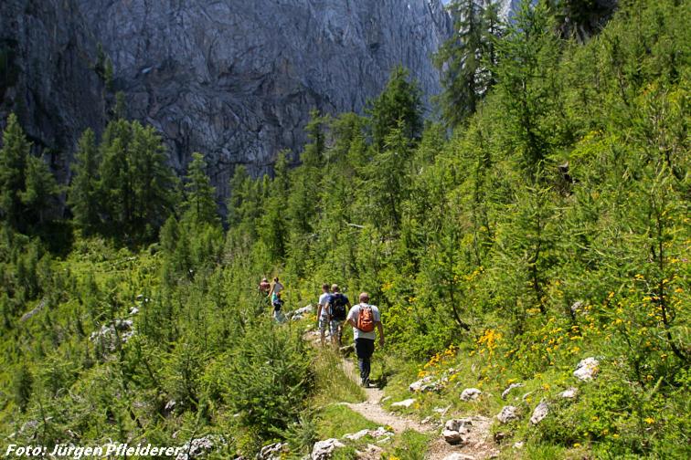 호텔 Landhaus Schreier