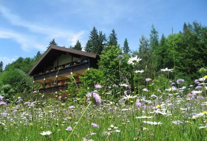 ホテル Landhaus Schreier