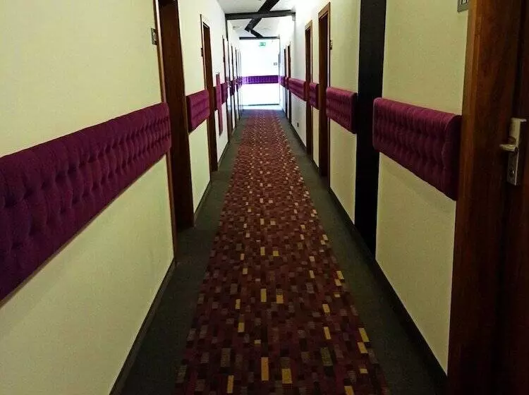 Hotel Modus