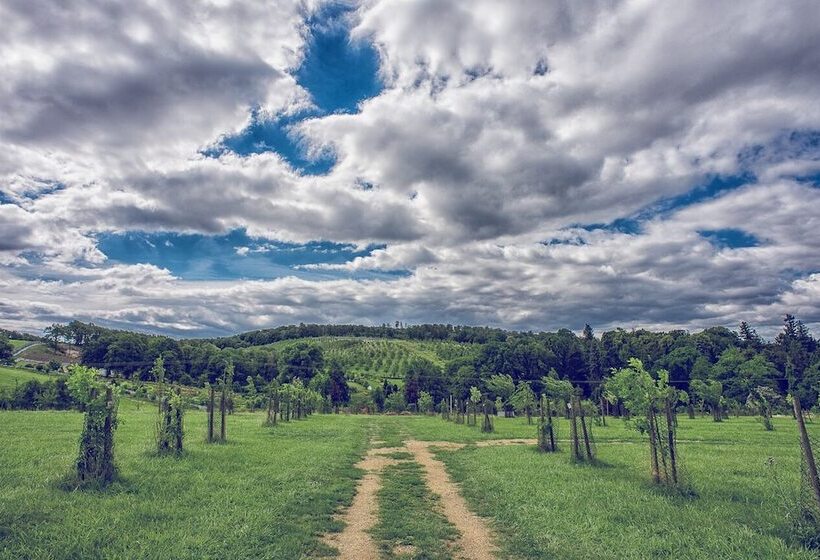 فندق Niemcza Wino & Spa