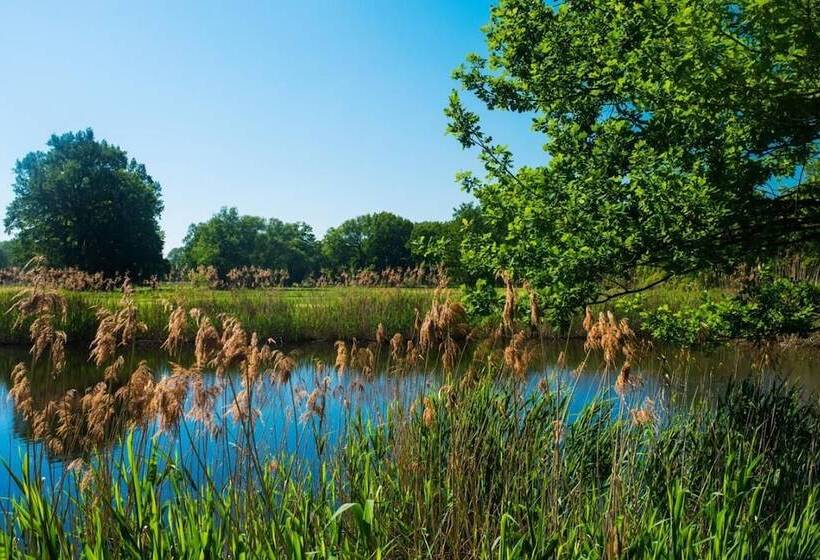 فندق Pałac Krobielowice