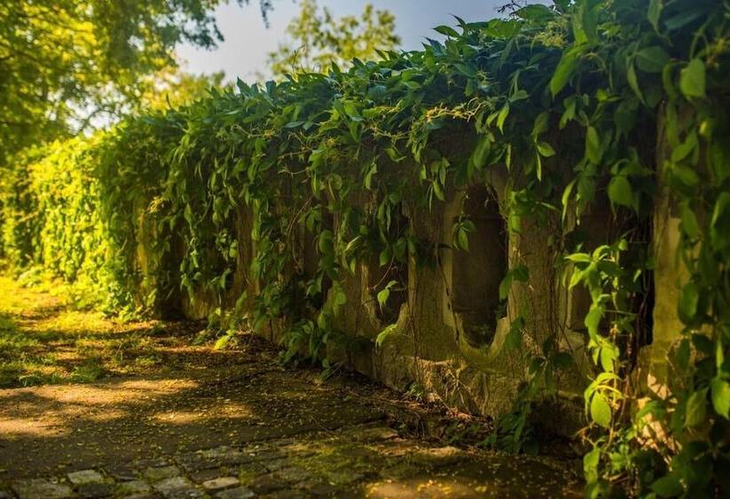 فندق Pałac Krobielowice