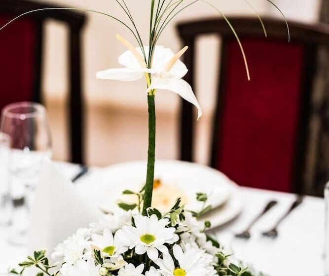 فندق Pałac Krobielowice