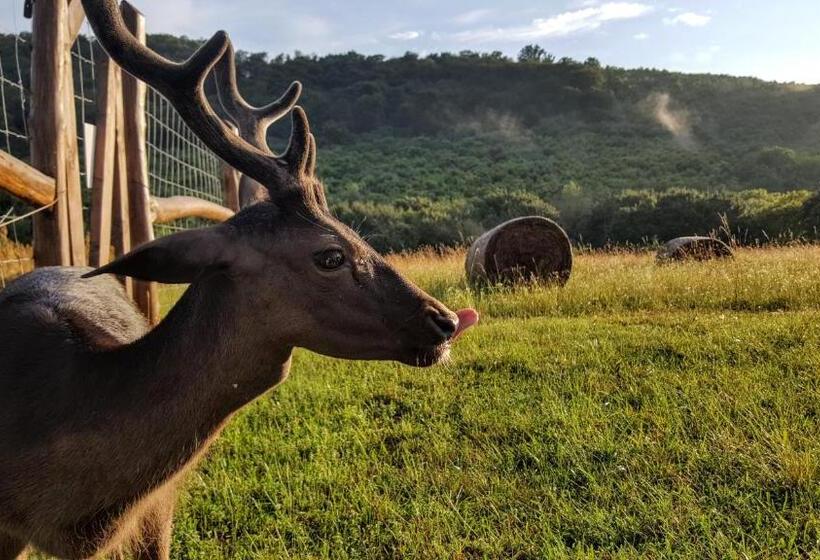 فندق Pálos Resort