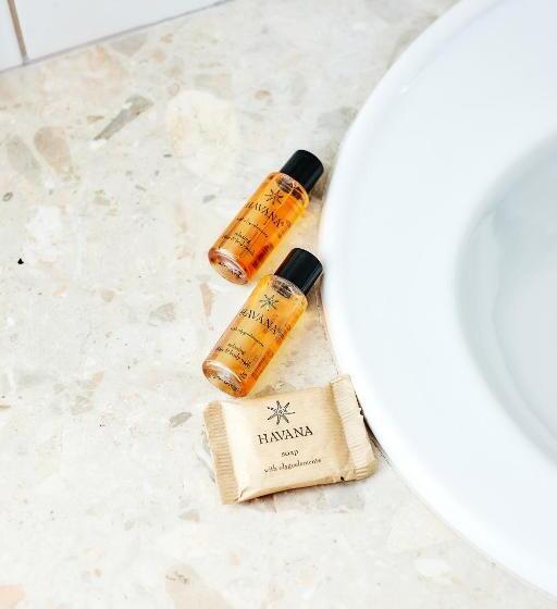 בית מלון כפרי Sphinx